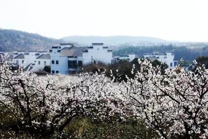 今年首场寒潮登场，多地降温明显，南方局地气温创新低